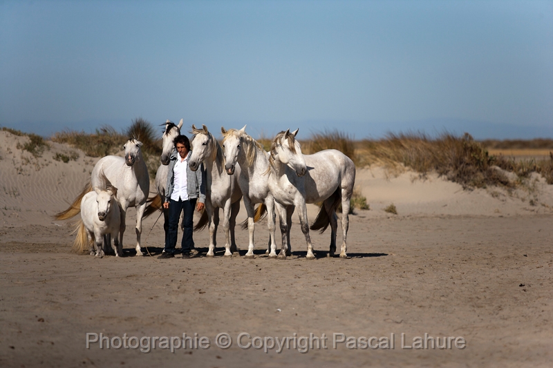 Le Monde Animal/Tournage de Le Monde Animal/Tournage de